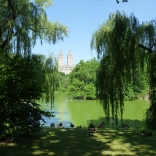 New York, Central Park, July 2014